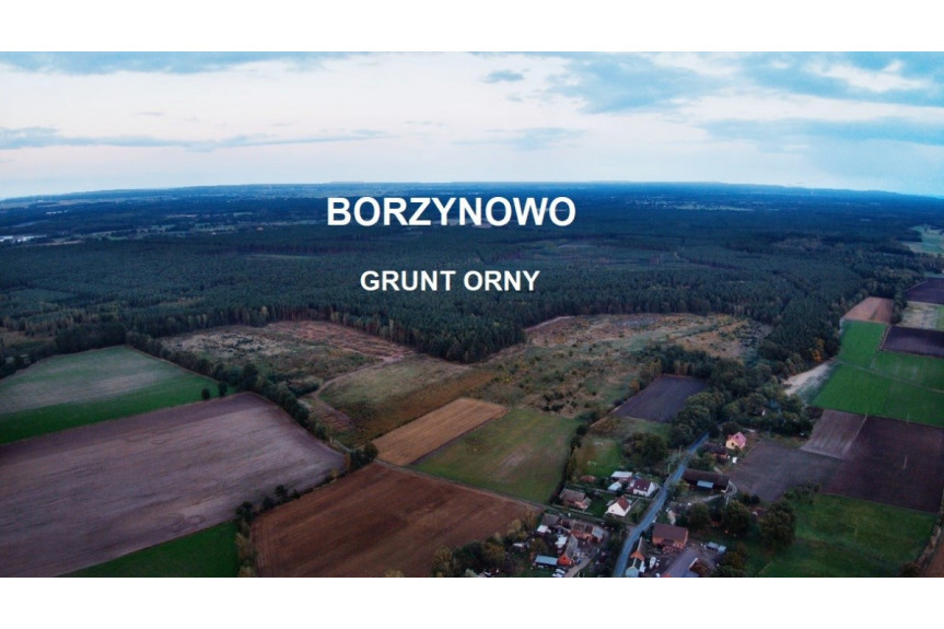powiat milicki, Borzynowo, Grunt orny 16,02HA