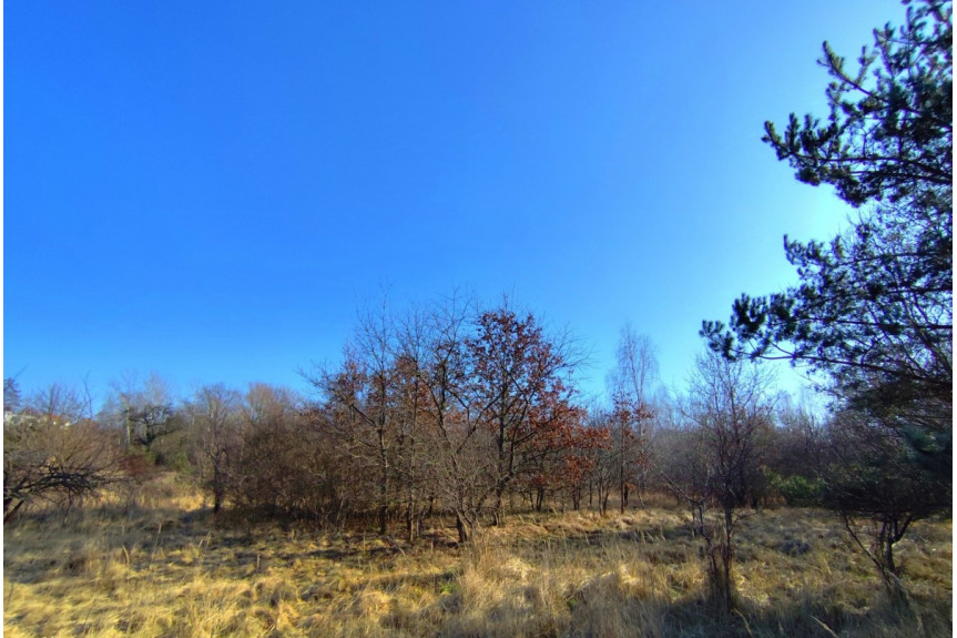 powiat trzebnicki, Oborniki Śląskie, Grunwaldzka, Zabudowa wielorodzinna. Rezydencjalna.