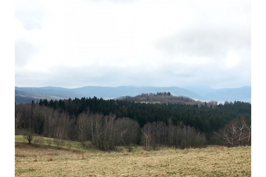 powiat wałbrzyski, Sierpnica, Zielone Wzgórze, Działka 2800m2 w Górach Sowich