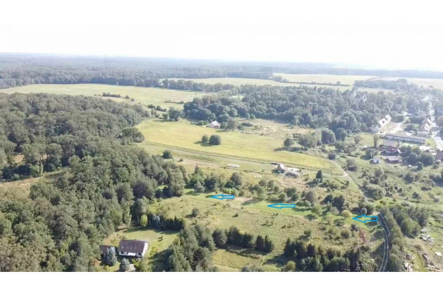 powiat trzebnicki, Wielka Lipa, Działka z lasem.
