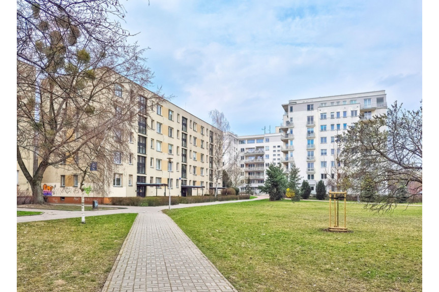 Warszawa, Mokotów Sadyba, Spalska, Z widokiem na park, świetny rozkład, po remoncie!