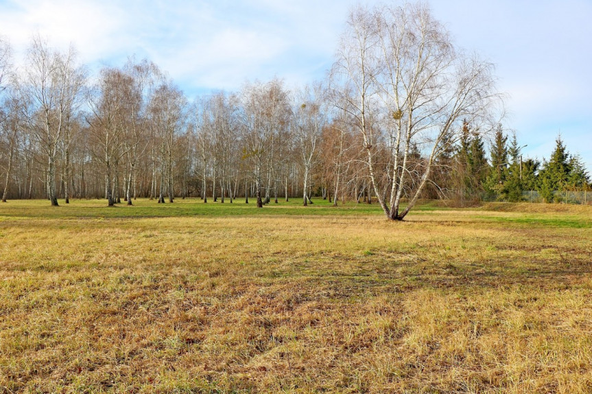 Warszawa, Ursynów, Hołubcowa, Działka o pow.1,22 ha objęta MPZP