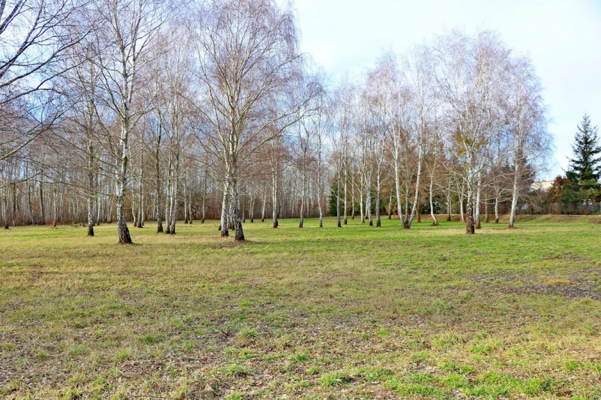Warszawa, Ursynów, Hołubcowa, Działka o pow.1,22 ha objęta MPZP