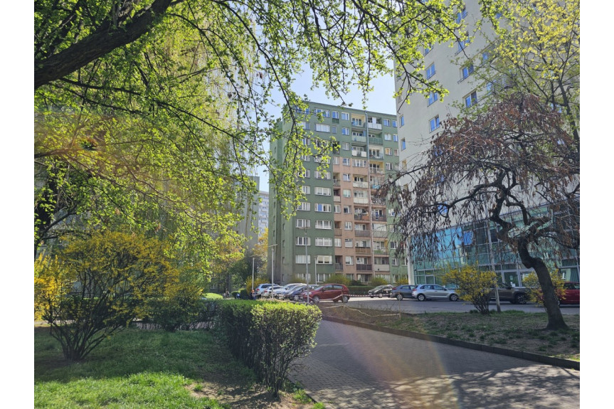 Warszawa, Śródmieście Powiśle, Górnośląska, Słoneczne trzypokojowe z osobną kuchnią Powiśle