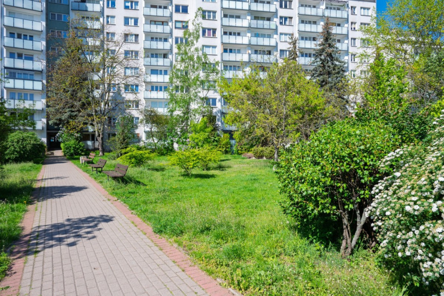 Warszawa, Wilanów Wysoki, Królowej Marysieńki, Wilanów czeka na Ciebie!