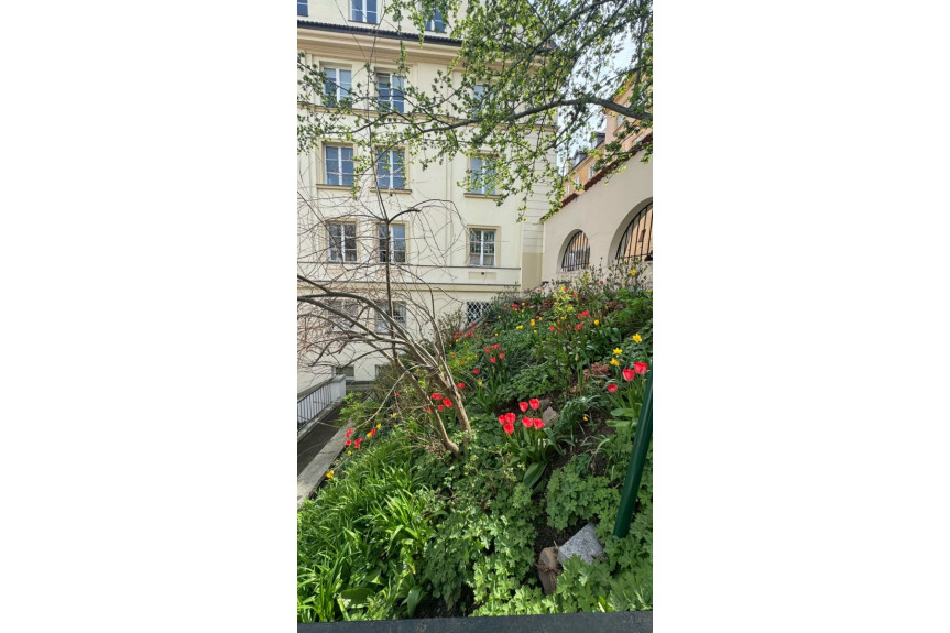 Warszawa, Stare Miasto, Brzozowa, Sen O Warszawie – Dom Profesorów