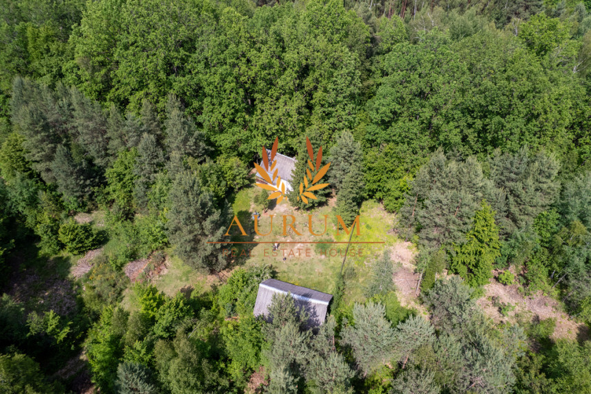 Rycki, Ryki, Leopold&oacute;w, Zielona, Siedlisko - idealne do wypoczynku