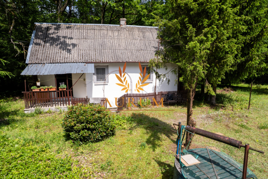 Rycki, Ryki, Leopold&oacute;w, Zielona, Siedlisko - idealne do wypoczynku