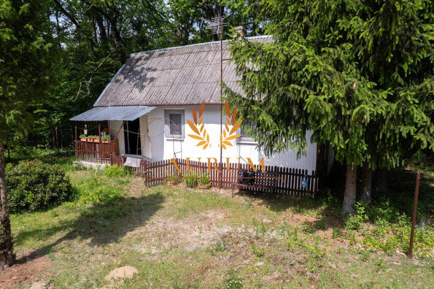 Rycki, Ryki, Leopold&oacute;w, Zielona, Siedlisko - idealne do wypoczynku