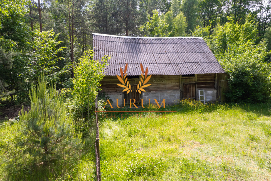 Rycki, Ryki, Leopold&oacute;w, Zielona, Siedlisko - idealne do wypoczynku